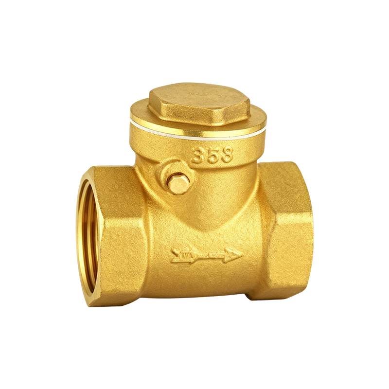 Check Valve