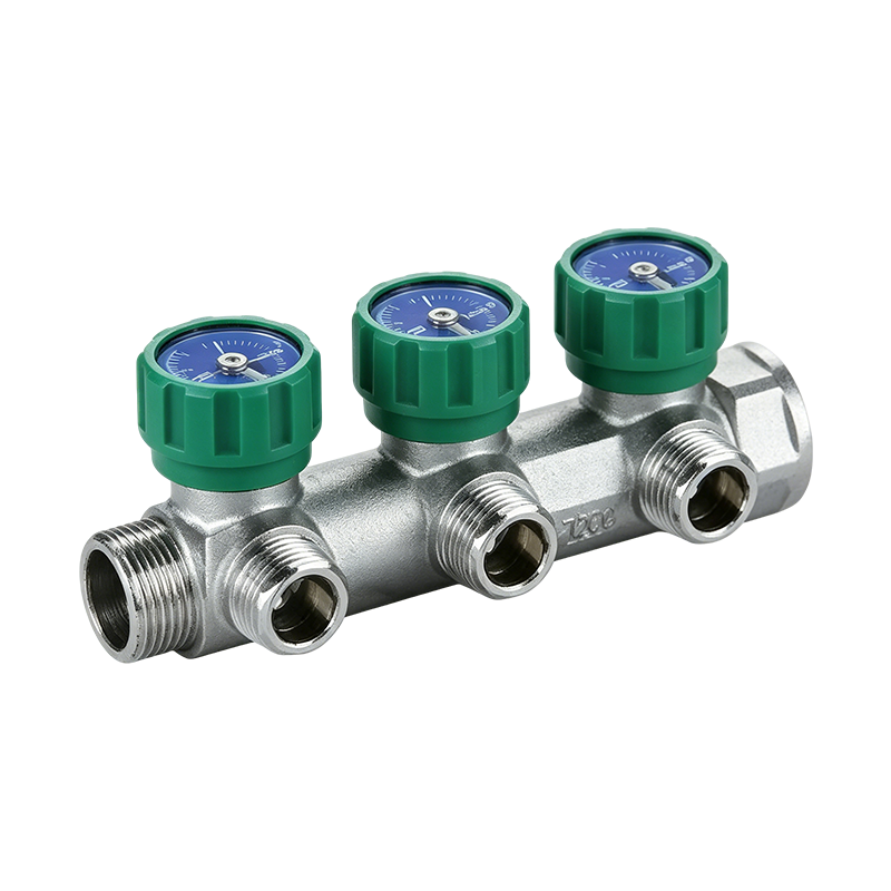 Manifold