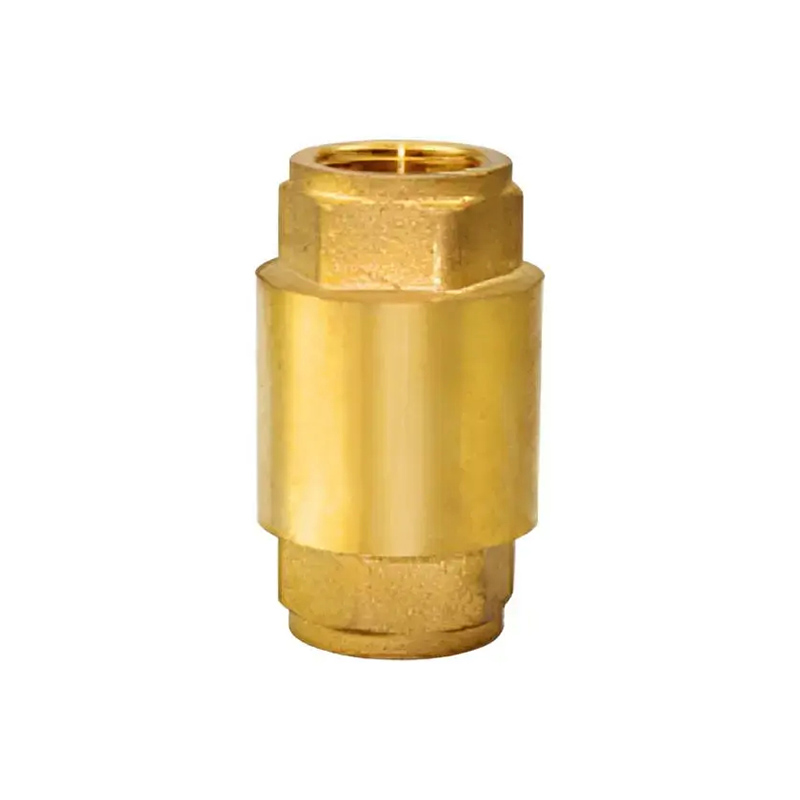 Vertical Check Valve