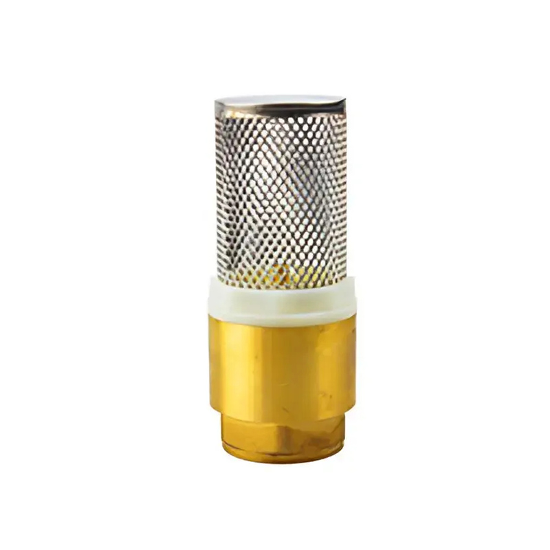 Check Valve with Strainer